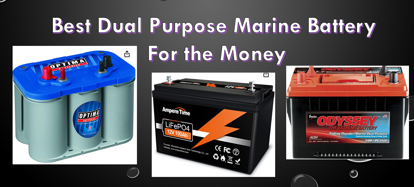 What Is The Best Dual Purpose Marine Battery