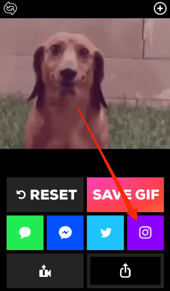 How to Post a GIF on Instagram