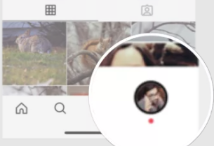 How to Add Pronouns to Your Instagram Profile