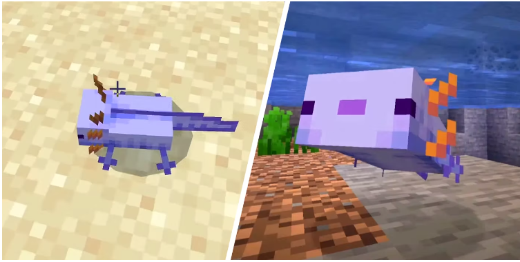 How To Spawn a Blue Axolotl in in Minecraft