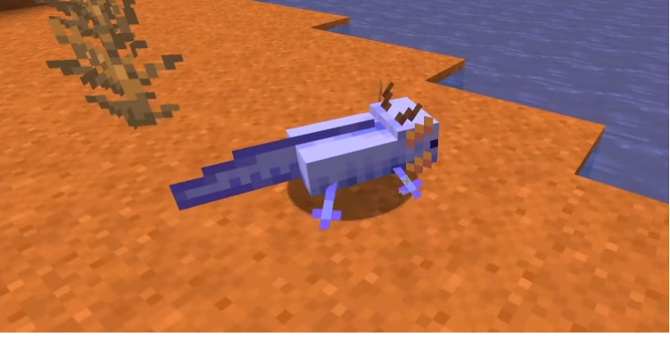 How To Spawn a Blue Axolotl in in Minecraft