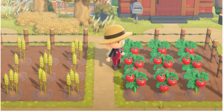 How to Get Vegetables In Animal Crossing