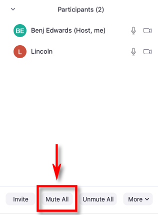 how to mute everyone in a zoom call