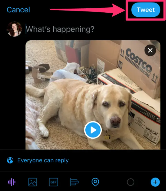 How to Post Videos on Twitter on Mobile 