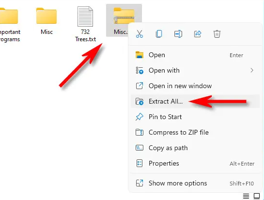 How to Unzip Files on Windows 11