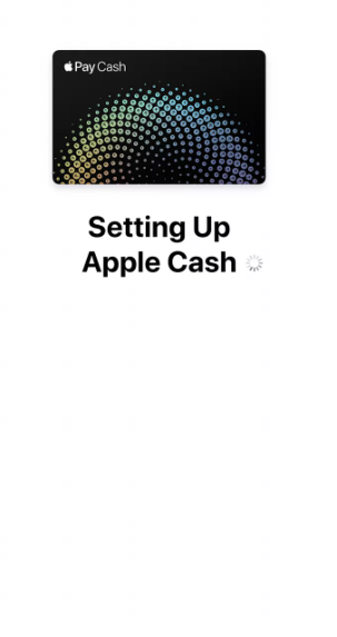 How to Set Up Apple Pay Cash