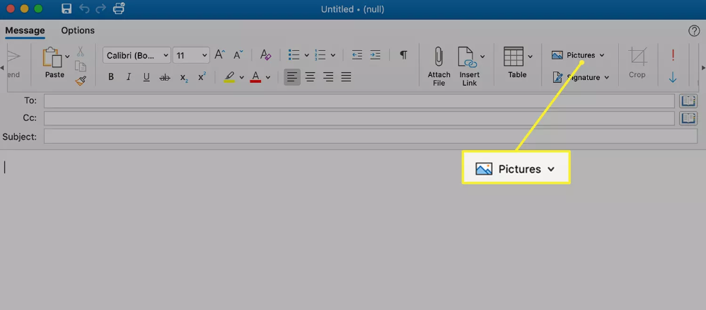 How to Send a GIF on Microsoft Outlook