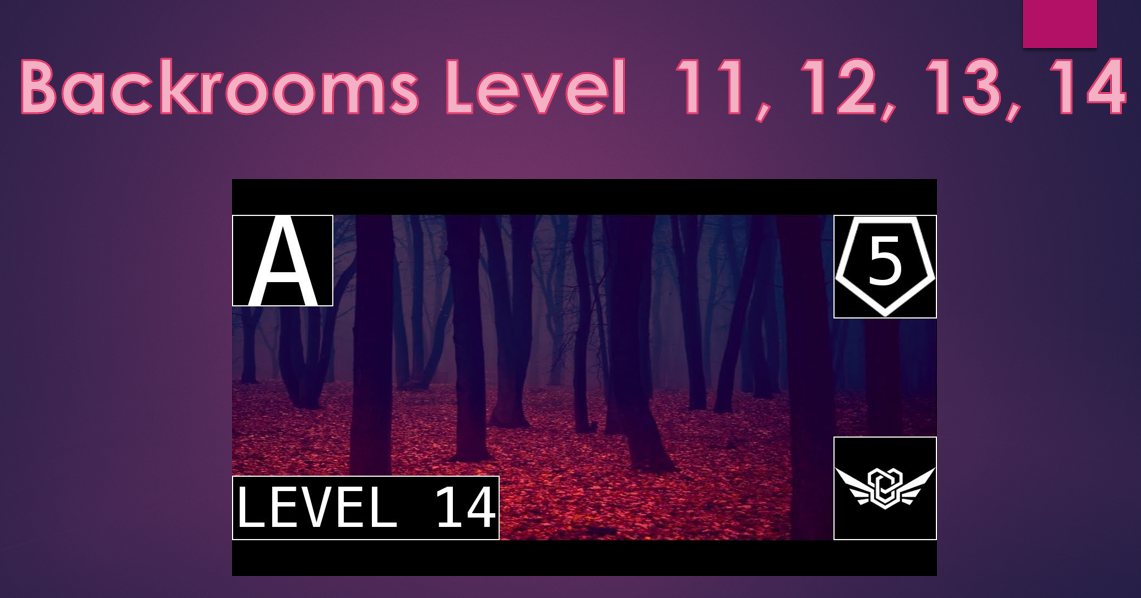 Enter The Backrooms  Level 11 Beta 