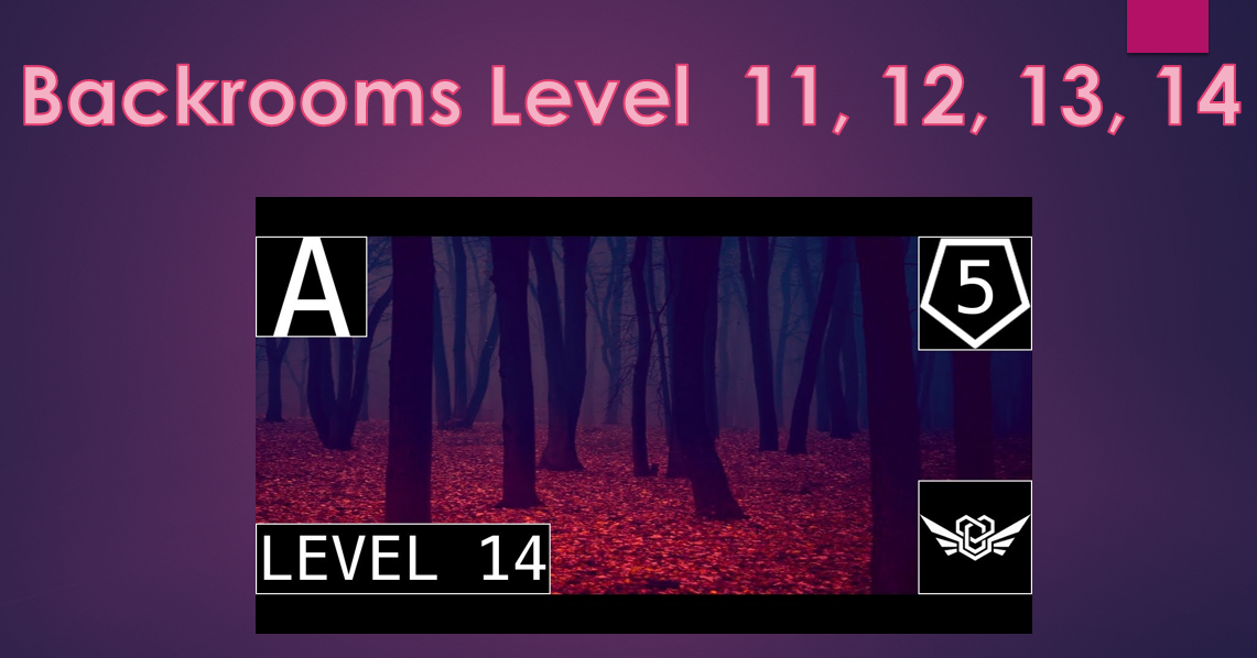 Level 11, backrooms level guide