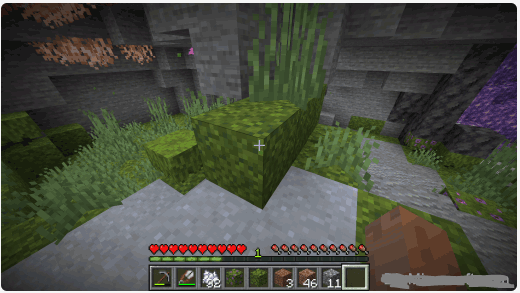 How to Get Moss in Minecraft