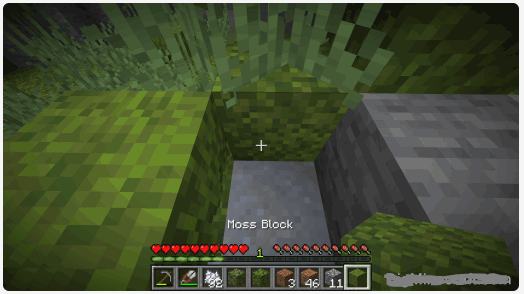 How to Get Moss in Minecraft