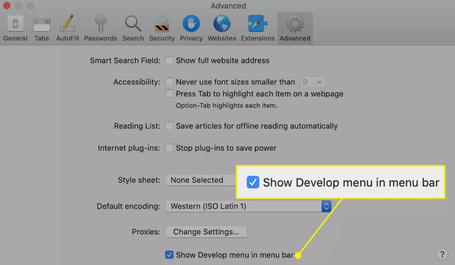 How to Enable Responsive Design Mode in Safari