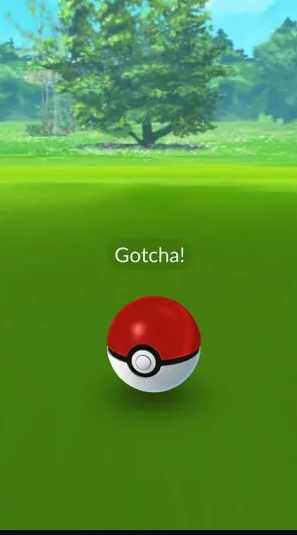 How to Catch a Wild Pokémon in Pokémon Go