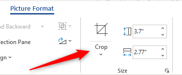 How to Crop a Picture in Microsoft Word