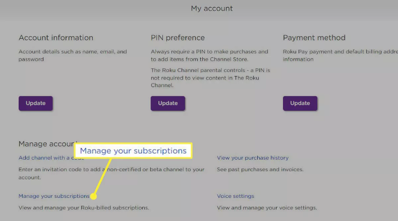 How to Find Paid Subscriptions On Roku