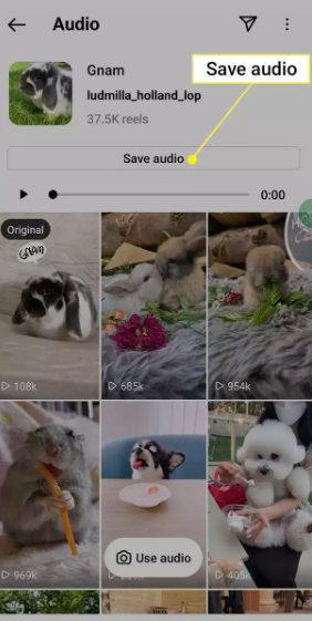 How to Save Songs on Instagram