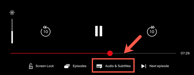 How to Change the Audio and Subtitle Language on Netflix