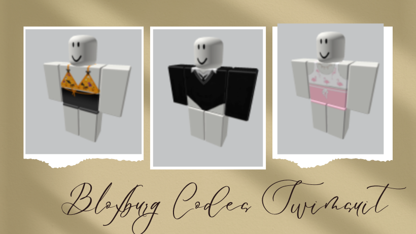 Bloxburg Codes Swimsuit