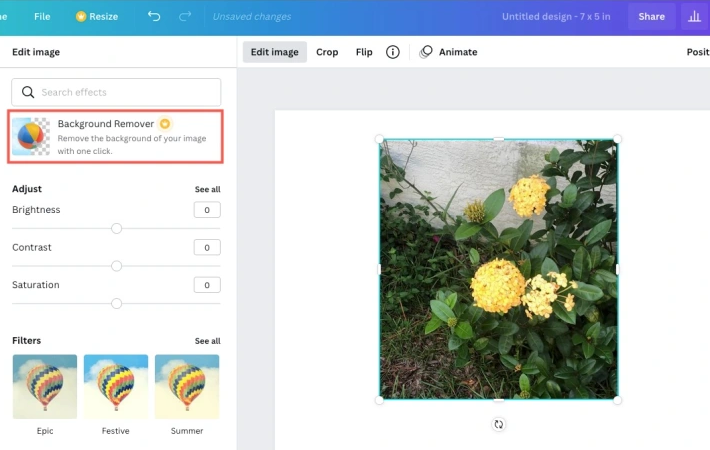 How to Remove a Picture Background in Canva