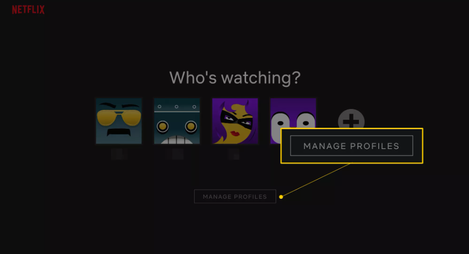 How to Share Your Netflix Account