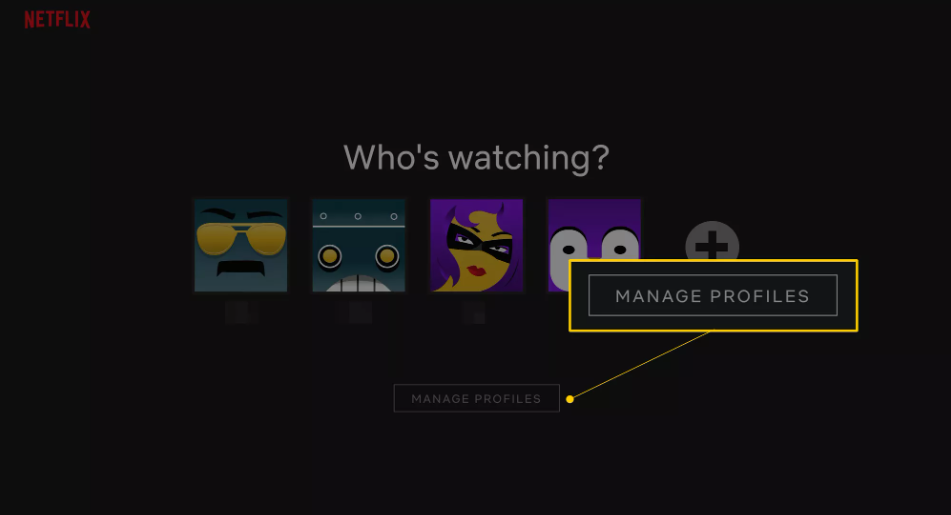 How To Share Your Netflix Account