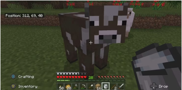 How to Get Rid of Bad Omen in Minecraft