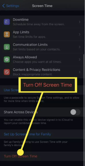 How to Delete Screen Time on Your iPhone