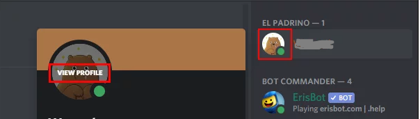 How to Save Profile Picture of Someone in Discord