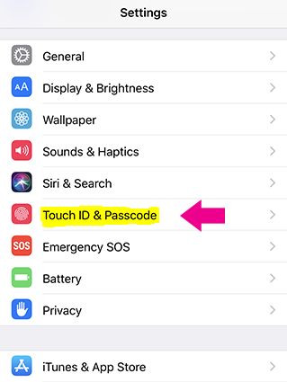 How to Turn Off Touch ID or Face ID on an iPhone