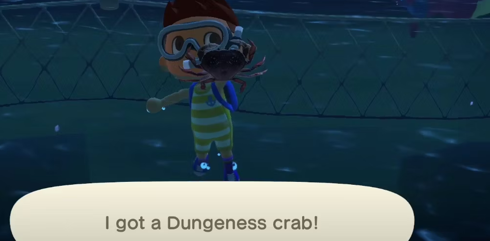 How To Get A Dungeness Crab in Animal Crossing: New Horizons