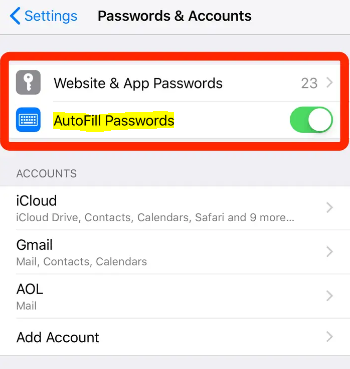 How to Edit Autofill Information and Password on an iPhone