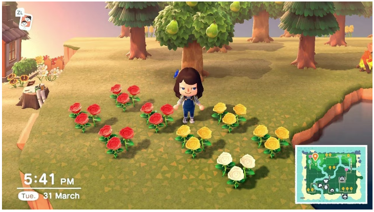 How to Grow Black Roses in Animal Crossing: New Horizons