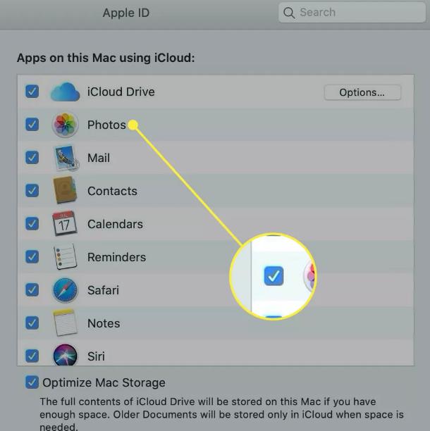 How to Access iCloud Photos on Your Mac 
