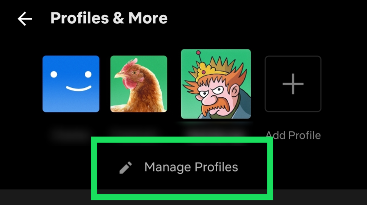 How To Delete A Profile on Netflix on Mobile Devices