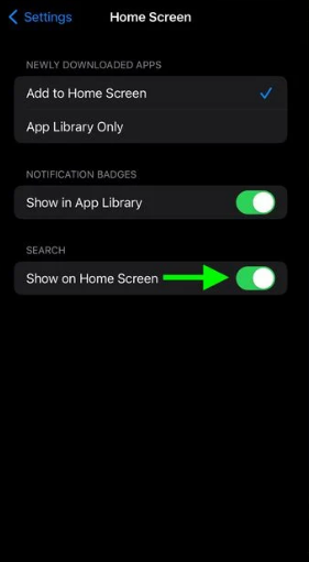 How to Turn Off the Home Screen Search Button on an iPhone