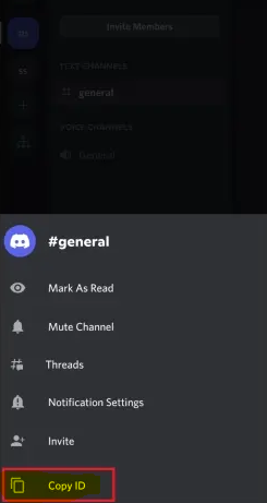 How to Turn On Developer Mode on Discord on Mobile