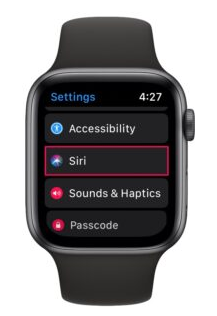 How to Enable Announce Messages with Siri on Apple Watch