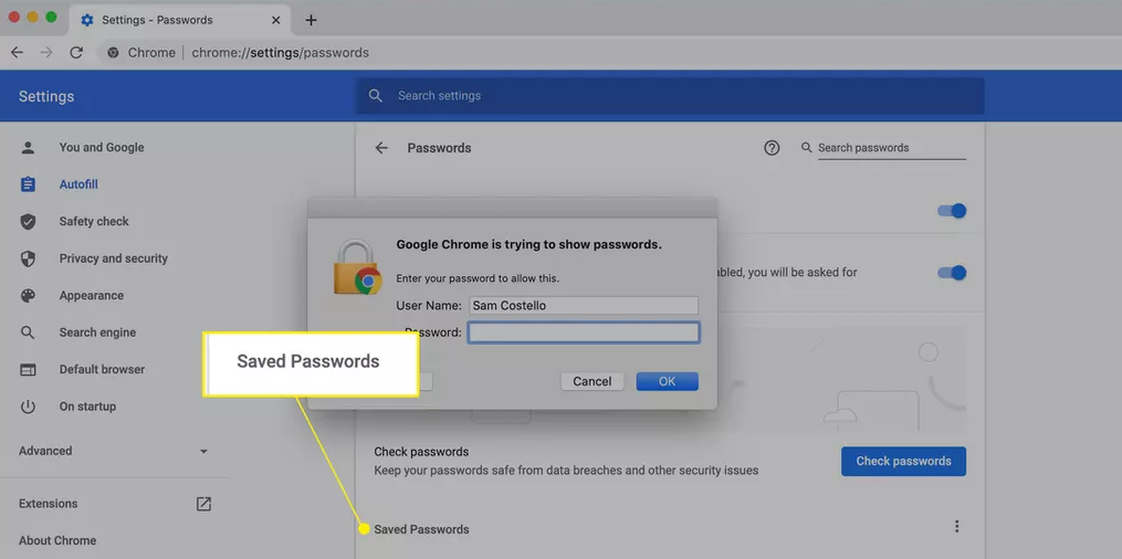 How to View Saved Passwords in Chrome