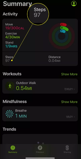 How to Check Your Step Counter on an iPhone