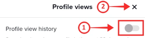 How to Disable Profile Views on TikTok