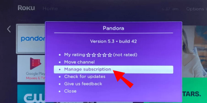 How to Cancel Peacock TV on a Roku Device
