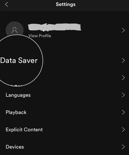 How to Turn On and Off Data Saver in Spotify on an iPhone