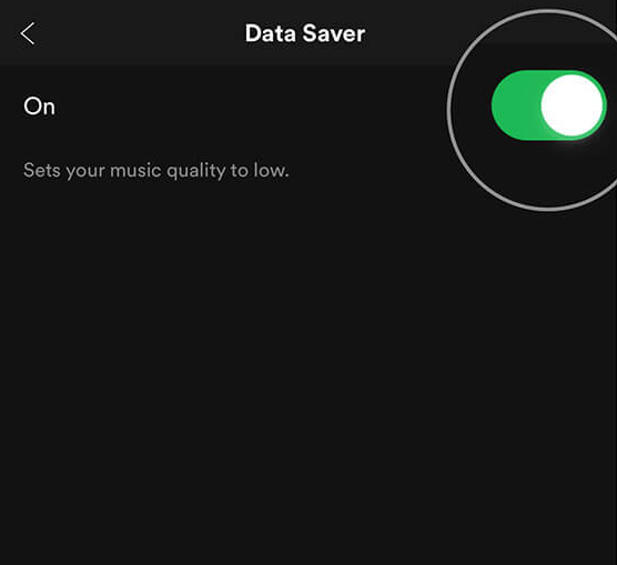 How to Turn On and Off Data Saver in Spotify on an iPhone