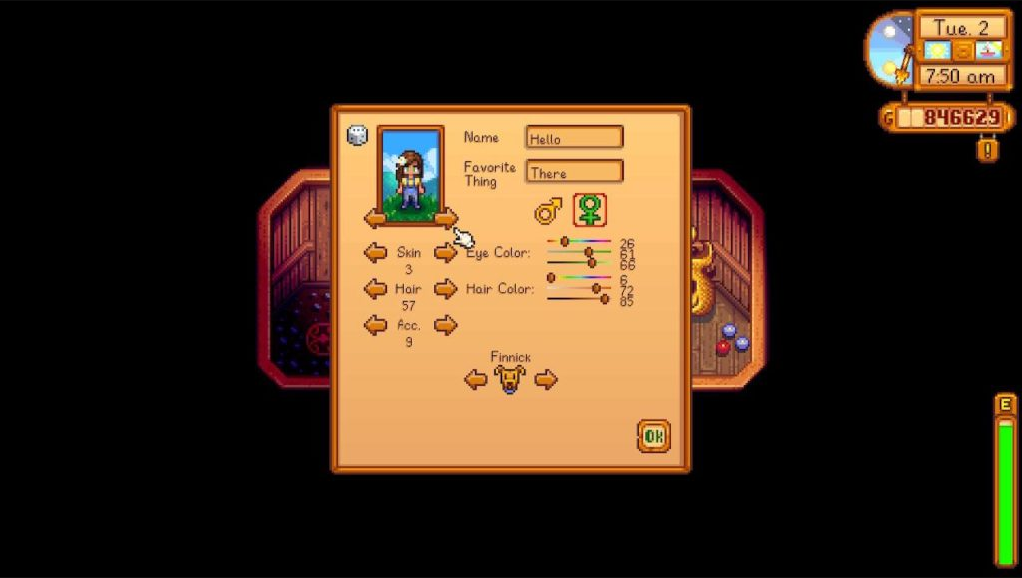 How to Change the Appearance in Stardew Valley