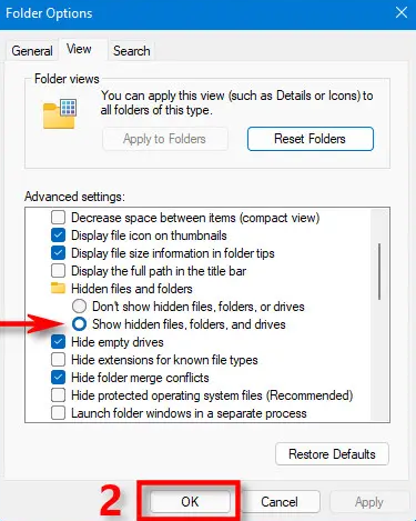 How to Show Hidden Files in Your Windows 11