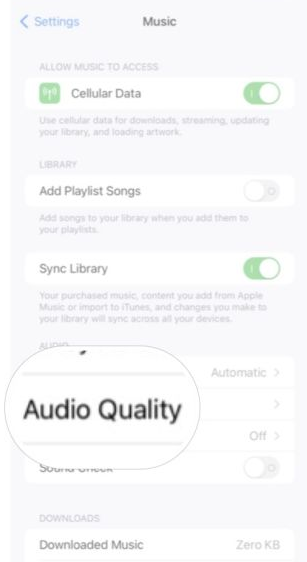How to Adjust Apple Music Audio Quality on iPhone and iPad