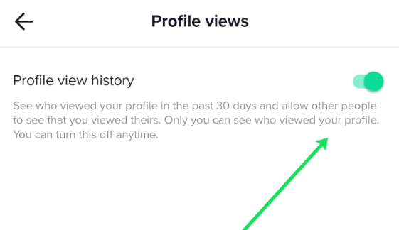 How to Turn On or Enable Profile Views on TikTok