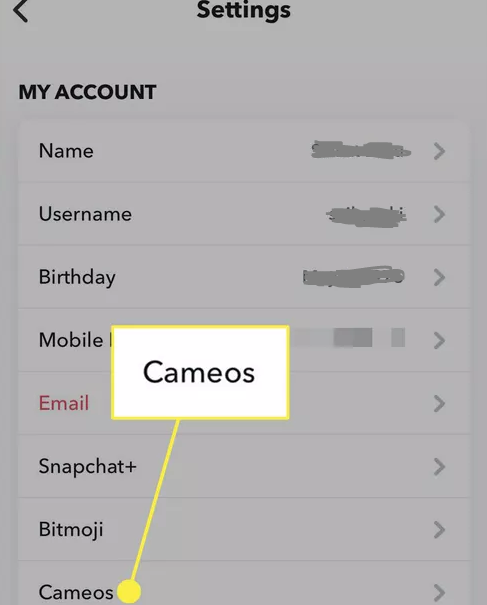 How to Change a Cameo Selfie from Snapchat's Settings
