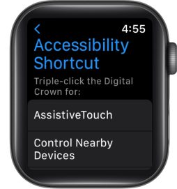 How to Enable Accessibility Shortcut on your Apple Watch