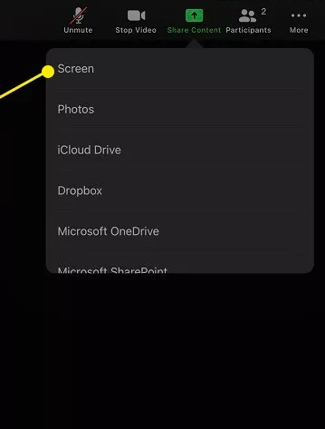 How to Share Your iPad's Screen on Zoom